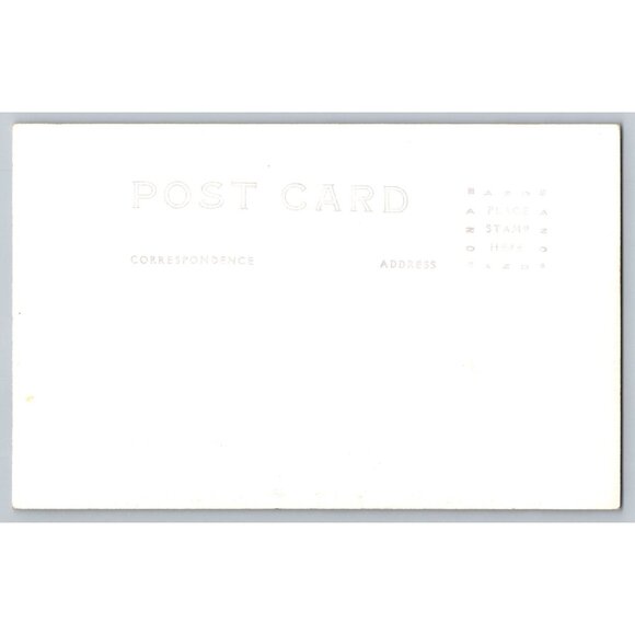 Vintage 1939 Postcard Twin Squirrels Petrified Wood Ginkgo State Park WA #1553 - Picture 2 of 2